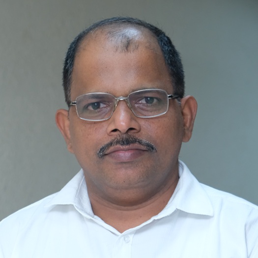 Vikas V. More